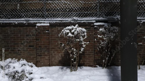 Plants by the fence and falling snow on a dark background in the evening