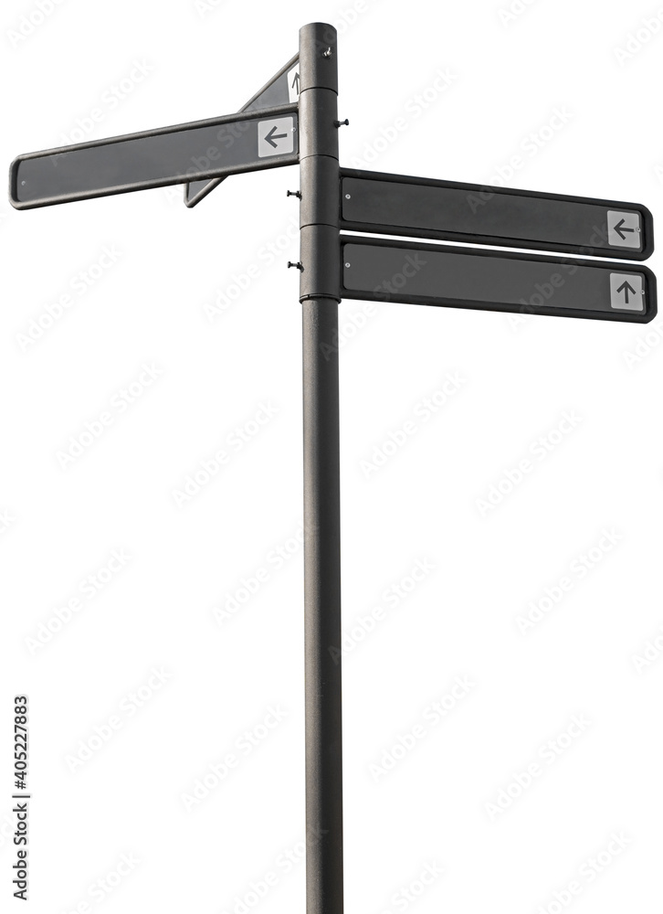 Obraz premium Pointer park on white background