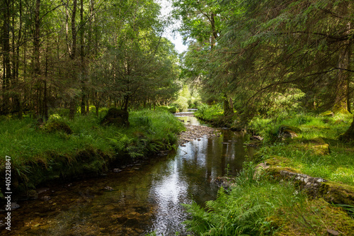 Tiny river in the Irish countryside © Rui Vale de Sousa