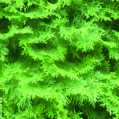 Thuja tree seamless pattern background vector image