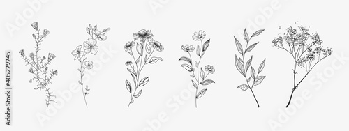 Set of wildflowers. Sketch style.