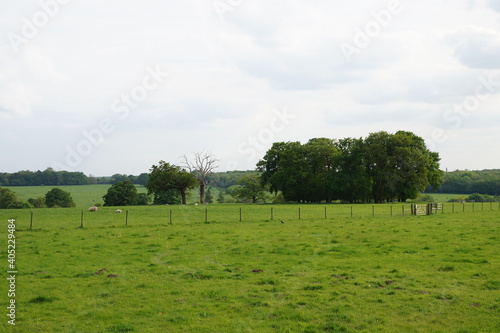 Fields around Ickworth house, Suffolk