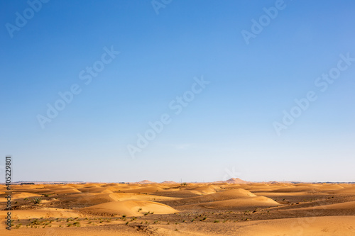 Simple desert landscape with golden sand dunes, low horizon, crystal blue sky, copy space, background.