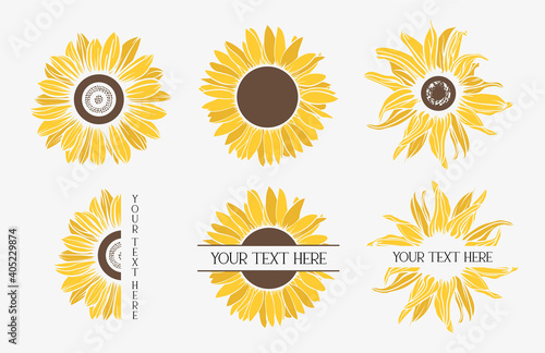 Fototapeta Color sunflowers set. Flower border.