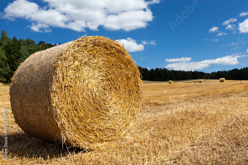 haystacks of their wheat straw