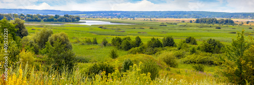 Summer landscape with trees and bushes on a wide meadow and river and forest in the distance