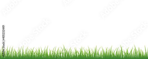green meadow on white background with copy space vector illustration EPS10