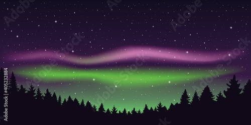 aurora borealis beautiful polar lights in stary sky in forest vector illustration EPS10