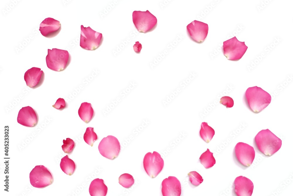 Blurred a group of sweet red rose corollas on white isolated background with copy space,for Valentine's day backdrop