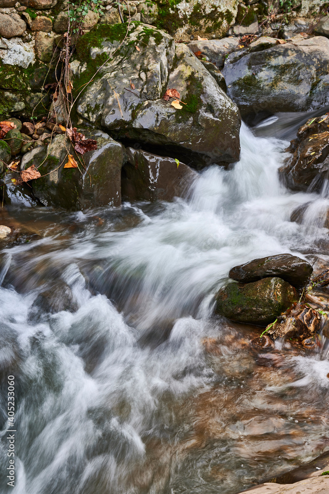 Detail of Mountain stream, Cantabria, Spain, Europe Detail of Mountain stream, Cantabria, Spain, Europe