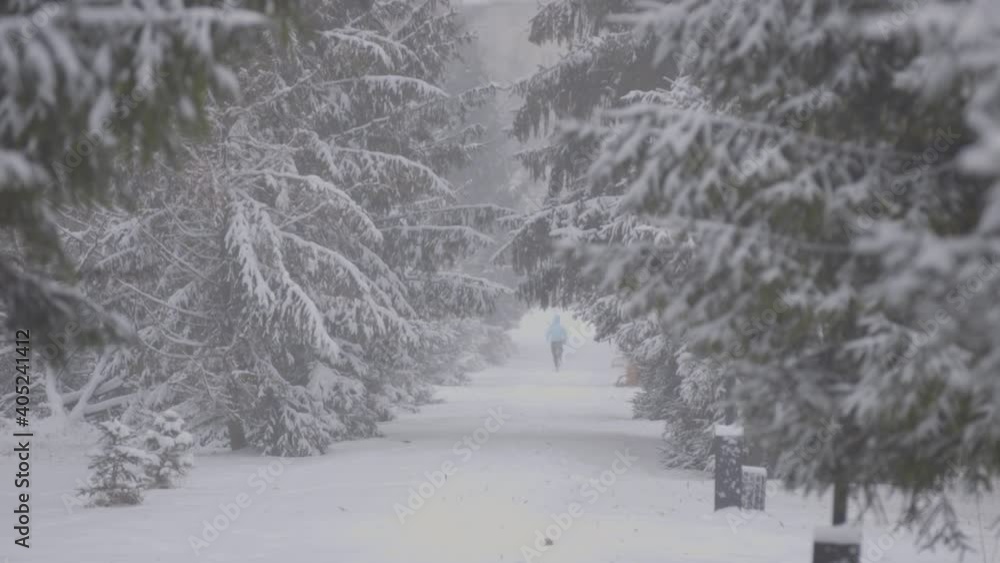 Young sportswoman runs through a snow-covered park on a background of snow-covered Christmas trees. Snowfall and blizzard. Young sportswoman runs through a snow-covered park on a background of snow-covered Christmas trees. Snowfall and blizzard.