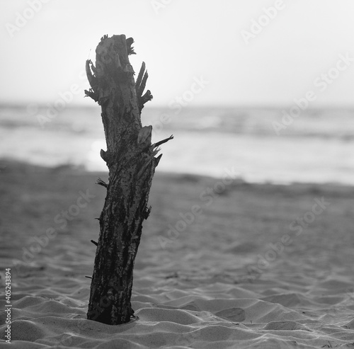 Beach in Sobieszewo Poland-Pentacon six tl carl zeiss jena biometar MC 80mm f2 8 Kodak T Max 100 120 photo