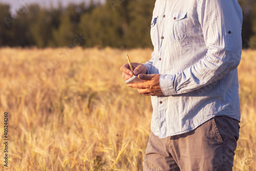 a man takes notes while standing on the field, a professional expert draws up a report on the growth of wheat