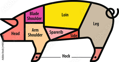 Diagram: cuts of pork. US.