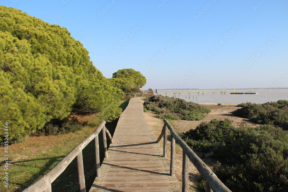 Fototapeta premium wooden bridge over the river