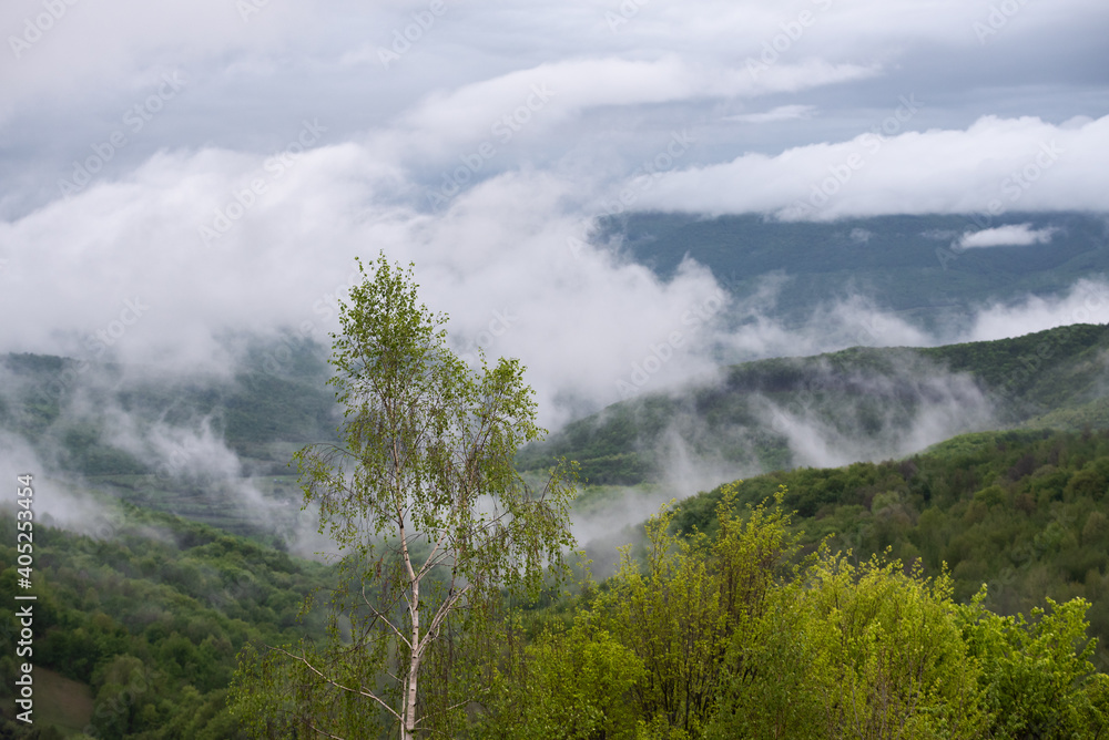 Spring fogs in the mountains