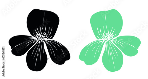 Botanical illustration imprint of a flower, the gratiola