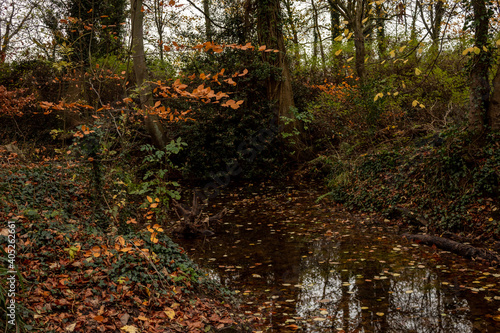 Canvastavla Autumn in Park Markeaton in England