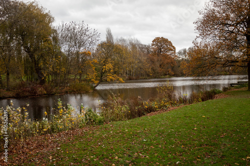 Tela Autumn in Park Markeaton in England