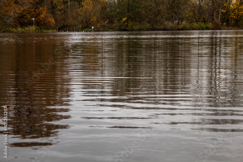 Obraz na plátně Autumn in Park Markeaton in England