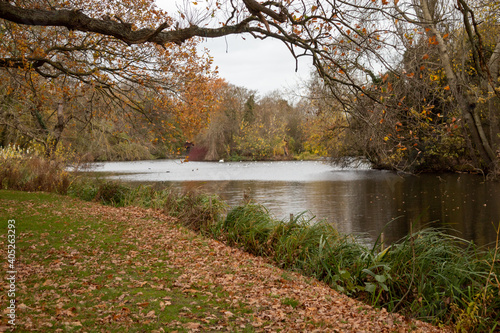 Obraz na plátně Autumn in Park Markeaton in England