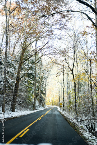 Road in the snow