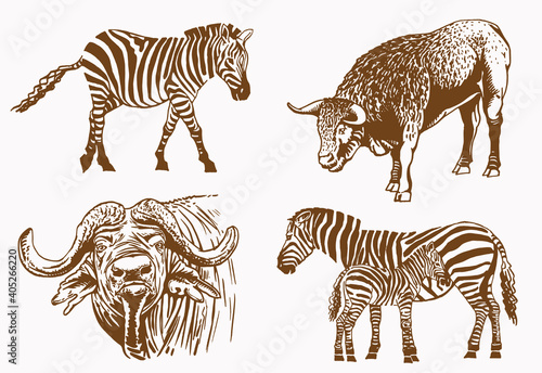 Sepia set of wild african animals , vector illustration