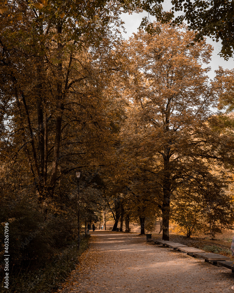 Autumn trees in the park, golden trees. Lithuania. Vilnius