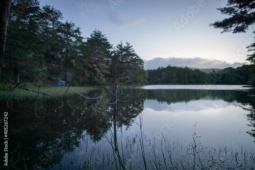 Fototapeta Naklejka Na Ścianę i Meble -  Dark lake with trees