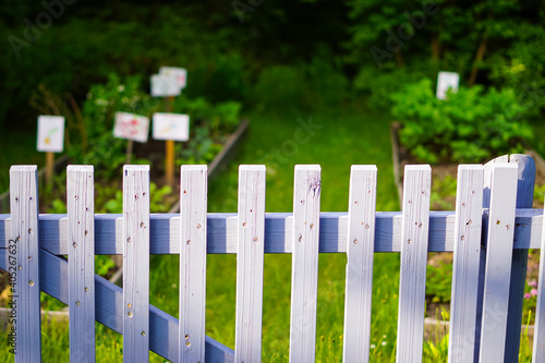 garden fence