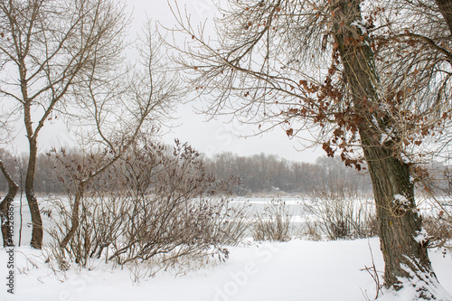 Winter on the river winter landscape