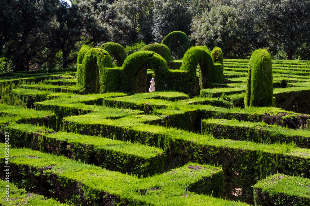 Beautiful natural green maze in Barcelona's Maze Park