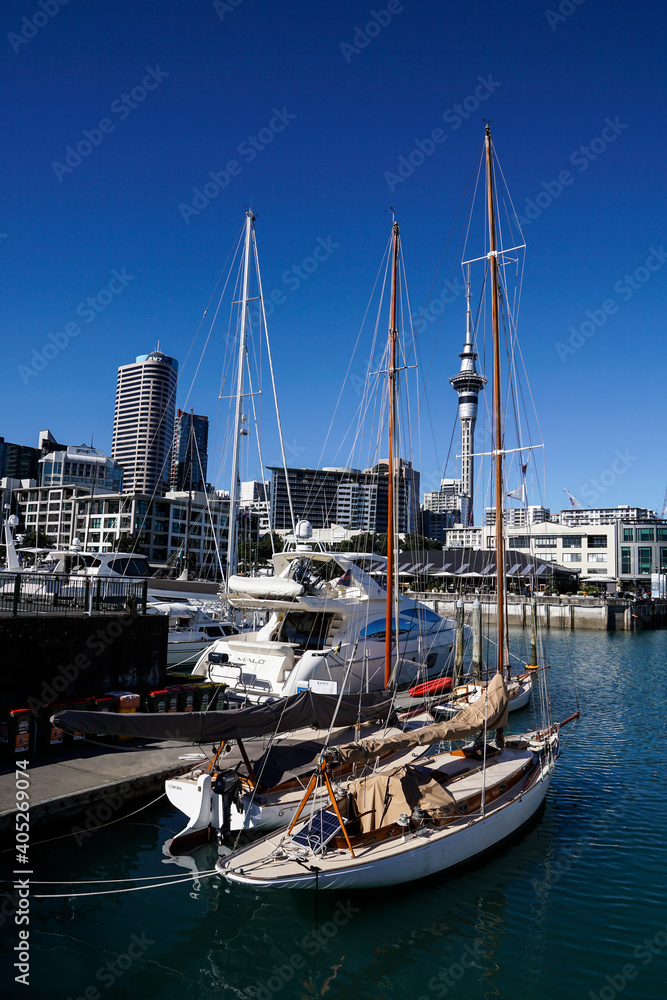 Beautiful Harbour of Auckland