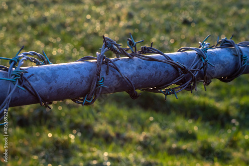 barbed wire fence