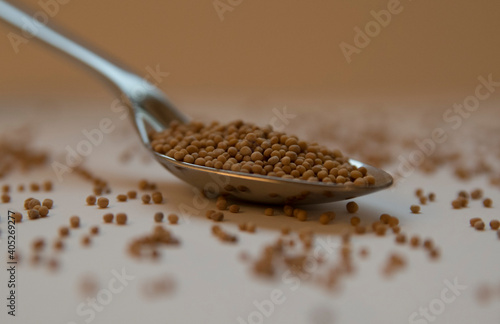 mustard seeds in a kitchen