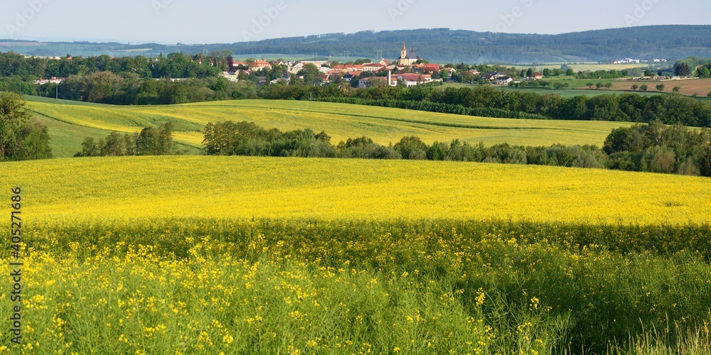 Village Vsechovice, view over rapeseed fields. East Moravia. Czech Republic. Europe. Village Vsechovice, view over rapeseed fields. East Moravia. Czech Republic. Europe.