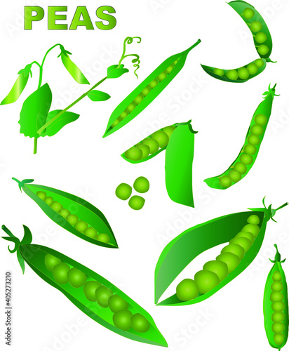 Set of pea pods. Organic vegetarian product. Peas set is applicable for restaurant menu or packaging, label, poster, print.