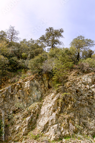 landscape in the mountains