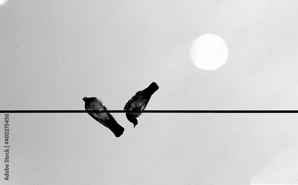 Black and White series from the universe Black and White series from the universe