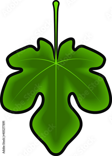 A big green fig leaf ready to cover up anything.