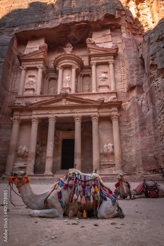 Camels resting in front of the treasure in Petra