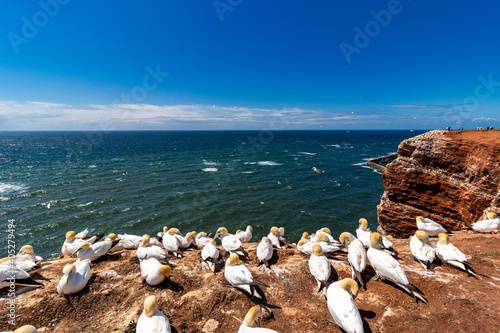 Helgoland German North Sea Island photo