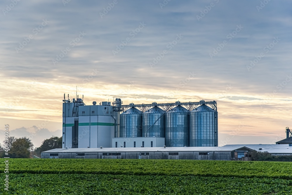 Countryside Farm in the morning ,