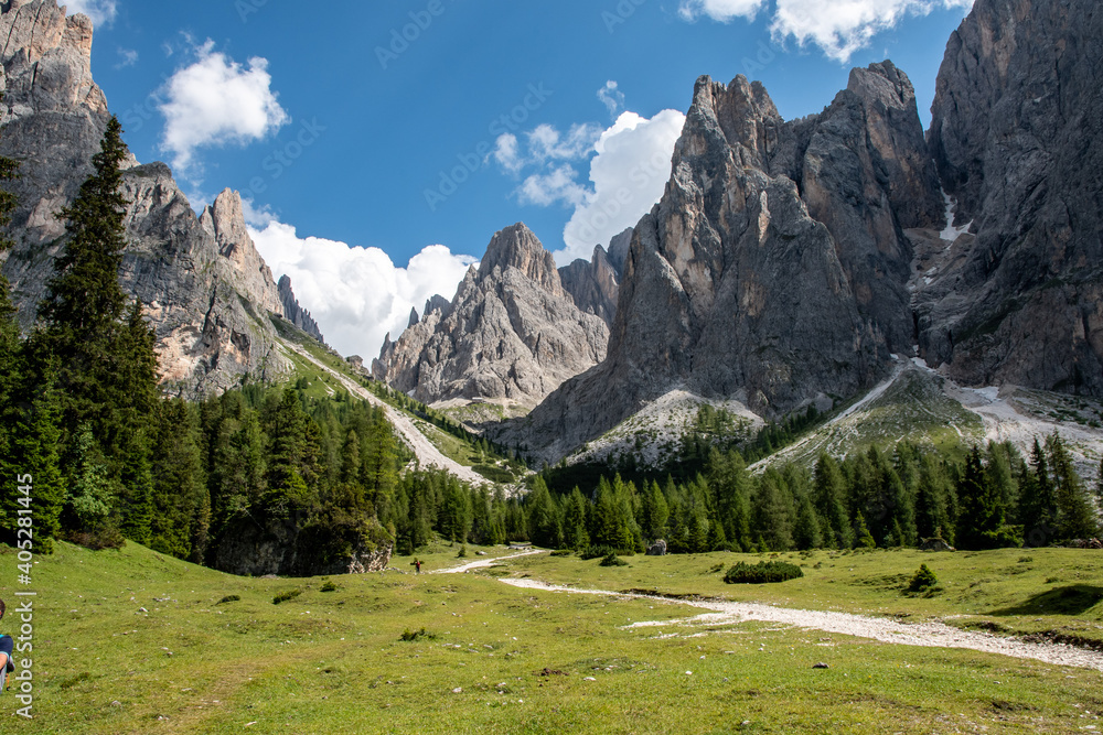 Dolomite panorama from a green valley with the imposing rock faces of the Sassolungo in the background