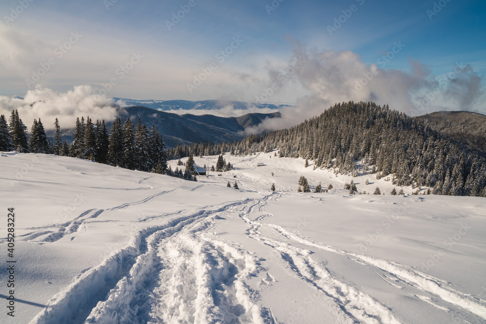 Beautiful winter scenery in a snowy forest on a sunny day of january 2021, Carpathian Mountains Beautiful winter scenery in a snowy forest on a sunny day of january 2021, Carpathian Mountains