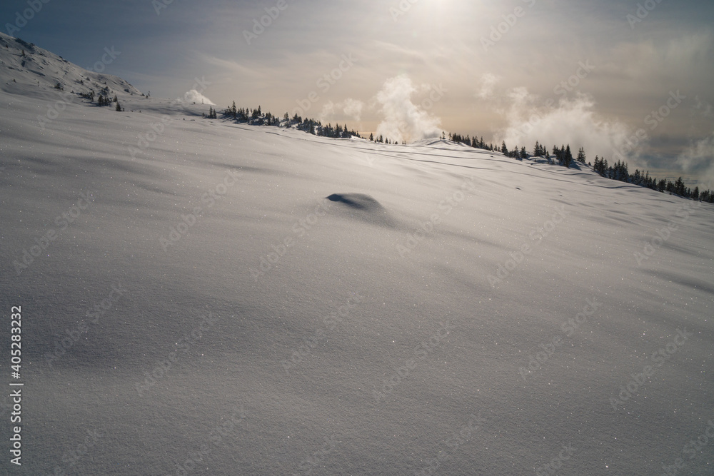 Beautiful winter scenery in a snowy forest on a sunny day of january 2021, Carpathian Mountains Beautiful winter scenery in a snowy forest on a sunny day of january 2021, Carpathian Mountains