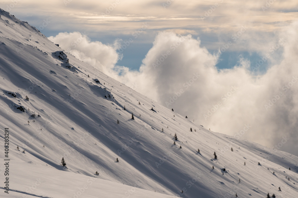 Beautiful winter scenery in a snowy forest on a sunny day of january 2021, Carpathian Mountains Beautiful winter scenery in a snowy forest on a sunny day of january 2021, Carpathian Mountains