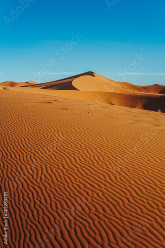 Photography Dünenlandschaft in der Sahara