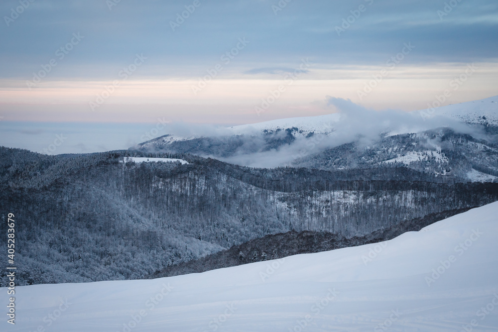 Beautiful winter scenery in a snowy forest on a sunny day of january 2021, Carpathian Mountains