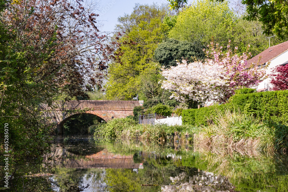 Basingstoke Canal on a warm sunny spring day near Woking Basingstoke Canal on a warm sunny spring day near Woking